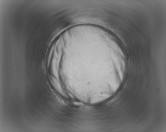 X0000073841529200609071528