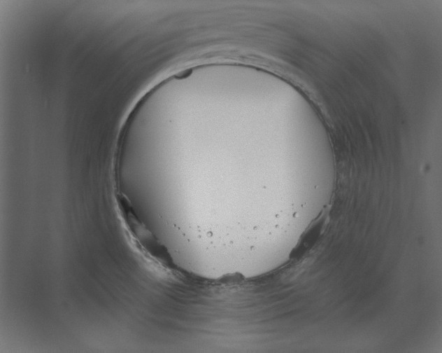 X0000073841530200609071528