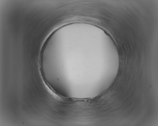 X0000073841531200609071528