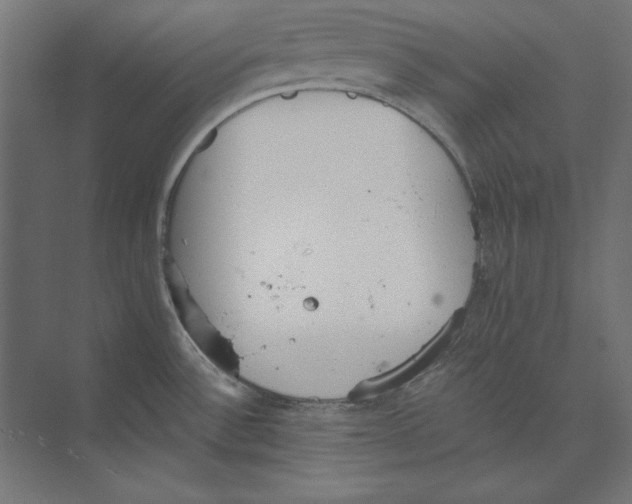 X0000073841532200609071528