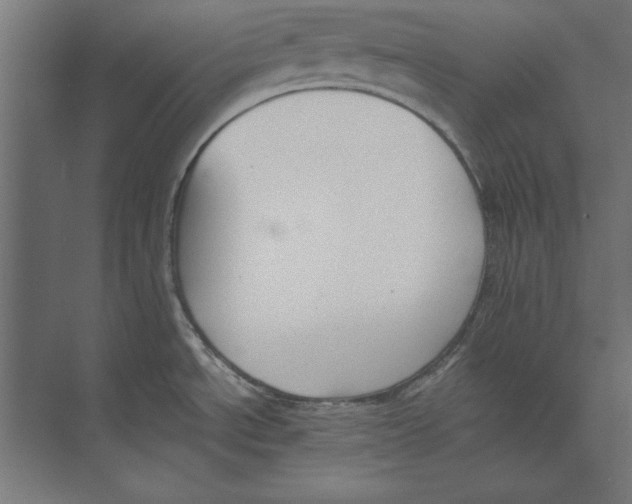 X0000073841534200609071528