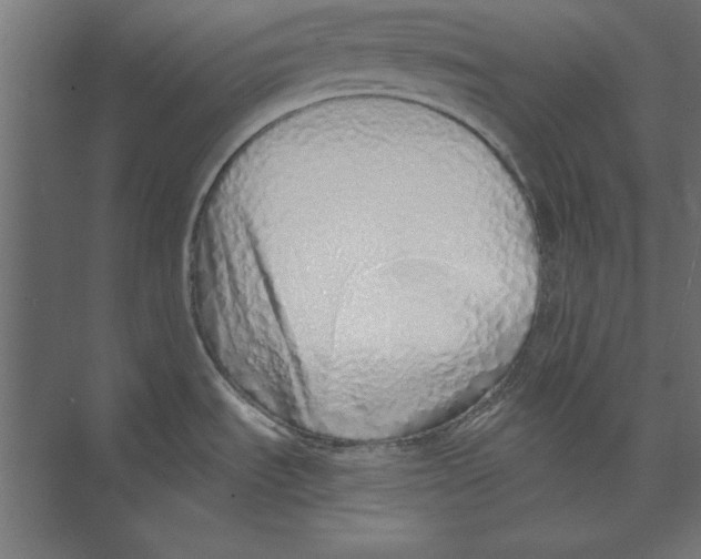 X0000073841535200609071528