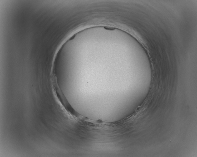 X0000073841536200609071528