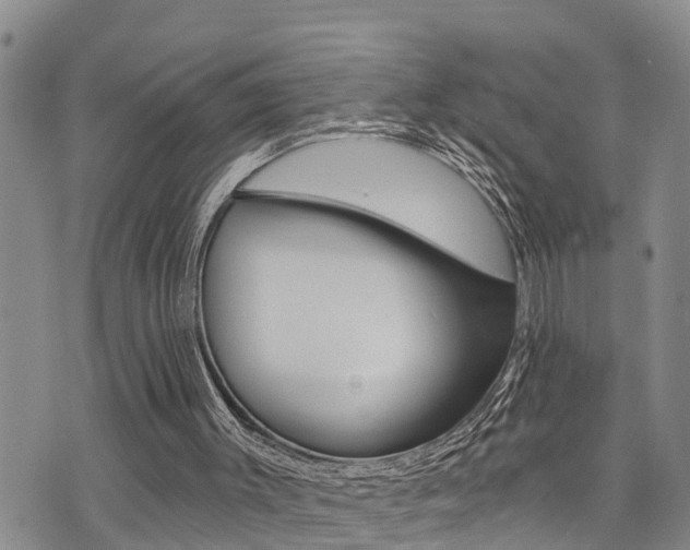 X0000073850003200608101014