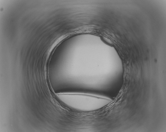 X0000073850100200608101012