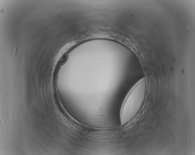 X0000073850104200608101012