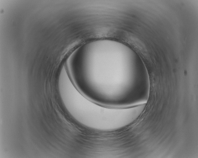 X0000073850164200608101011