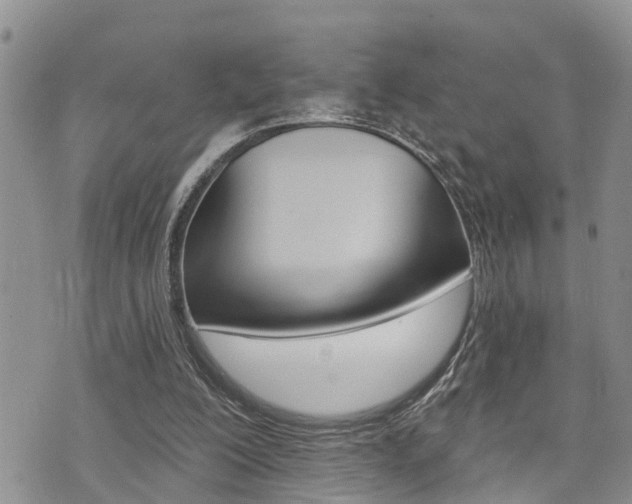 X0000073850200200608101011