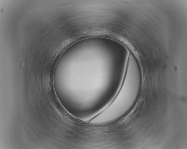 X0000073850201200608101011