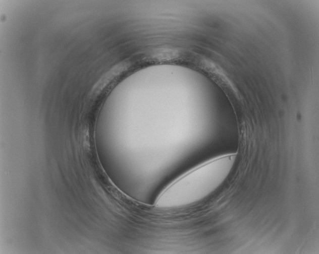 X0000073850212200608101011