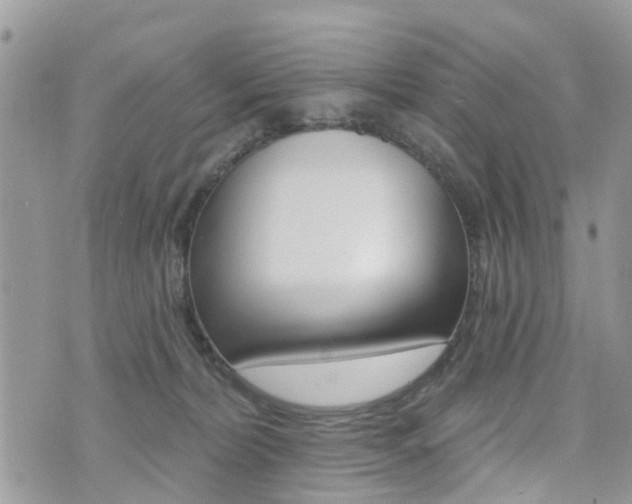 X0000073850228200608101010