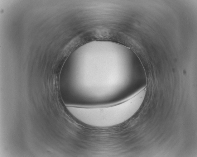 X0000073850233200608101010