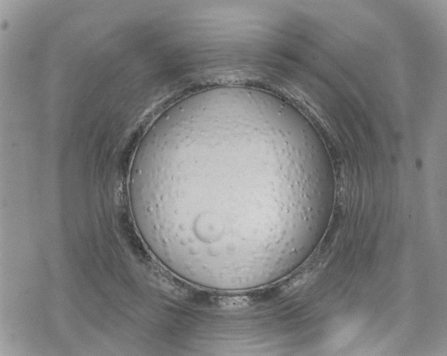 X0000073850355200608101008
