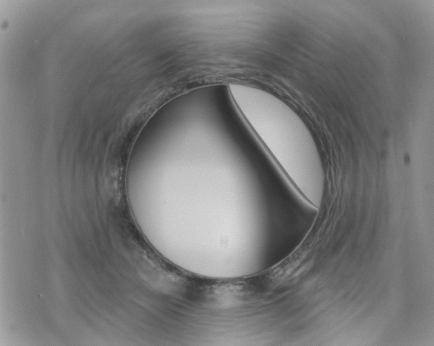 X0000073850462200608101007