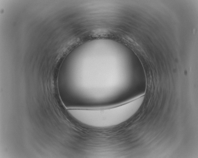 X0000073850508200608101006