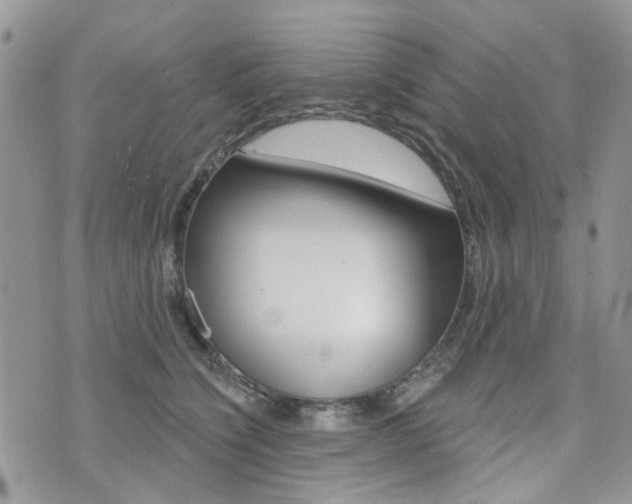 X0000073850564200608101005