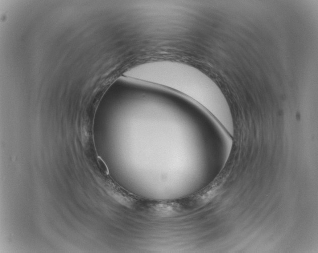 X0000073850566200608101005