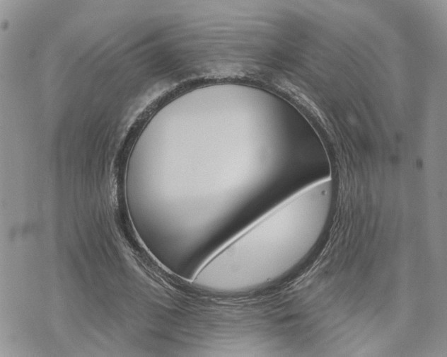 X0000073850584200608101005