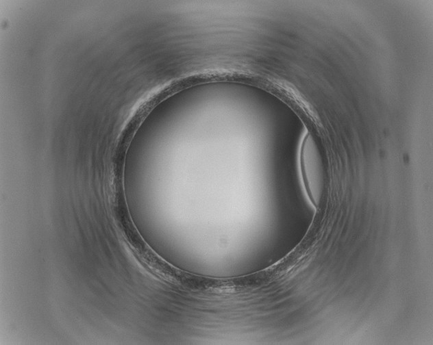 X0000073850588200608101005