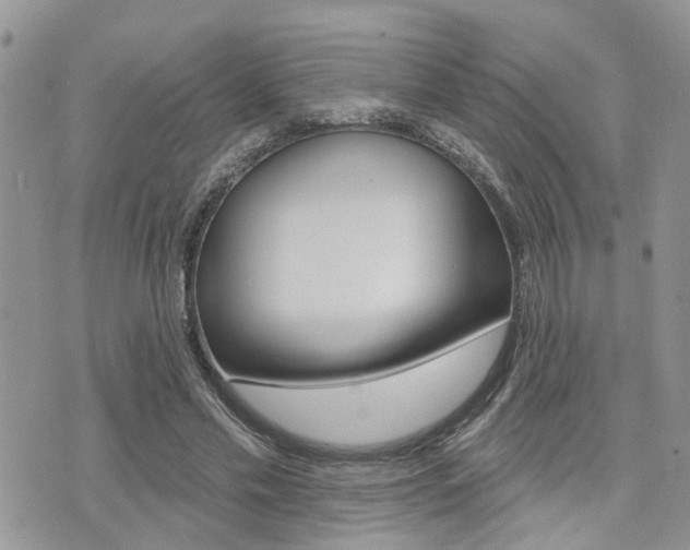 X0000073850589200608101005