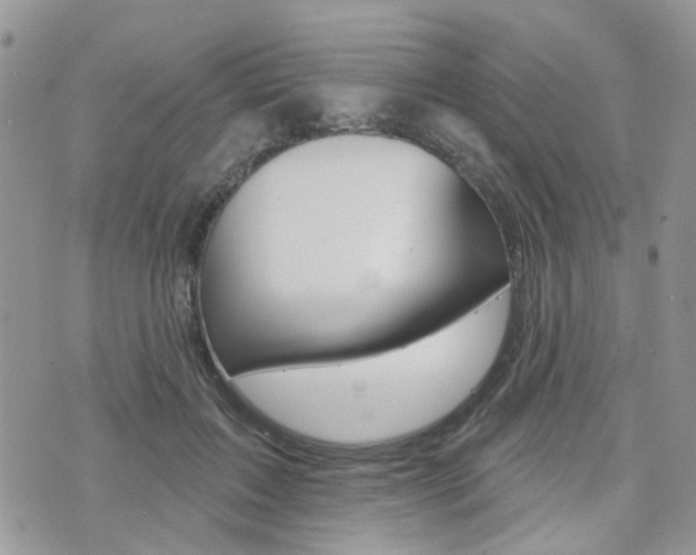 X0000073850603200608101004
