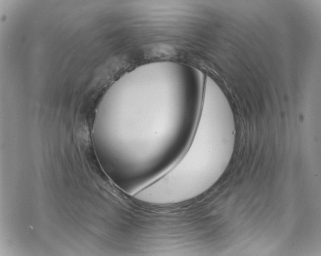 X0000073850617200608101004