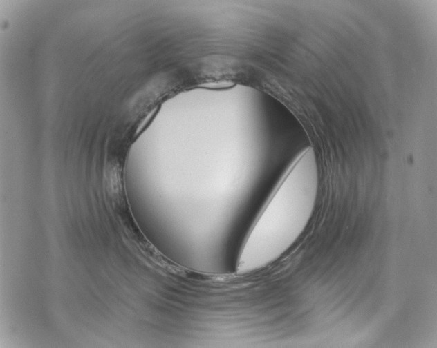 X0000073850623200608101004