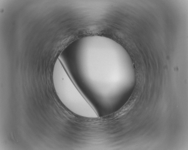 X0000073850624200608101004