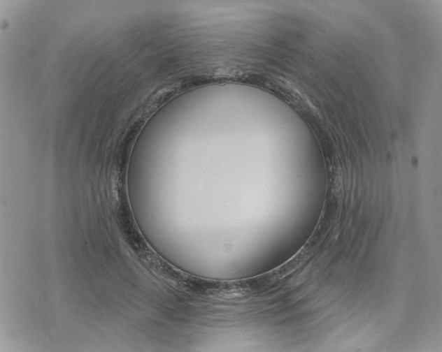 X0000073850643200608101003
