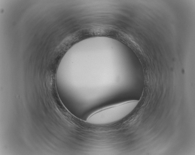 X0000073850645200608101004