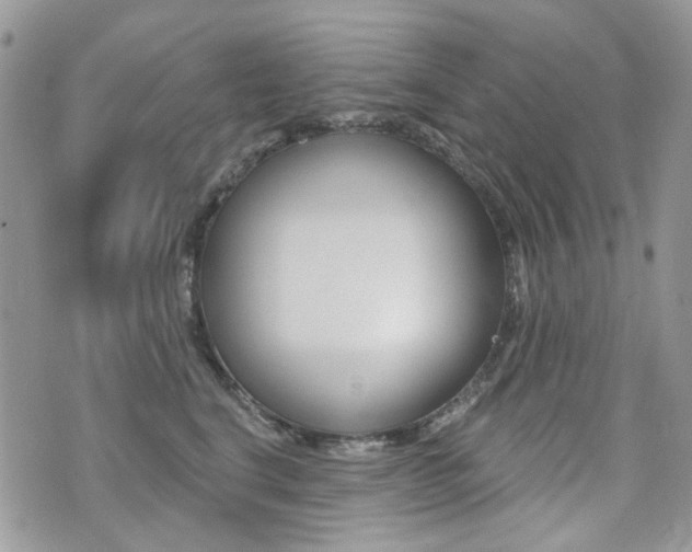 X0000073850664200608101004