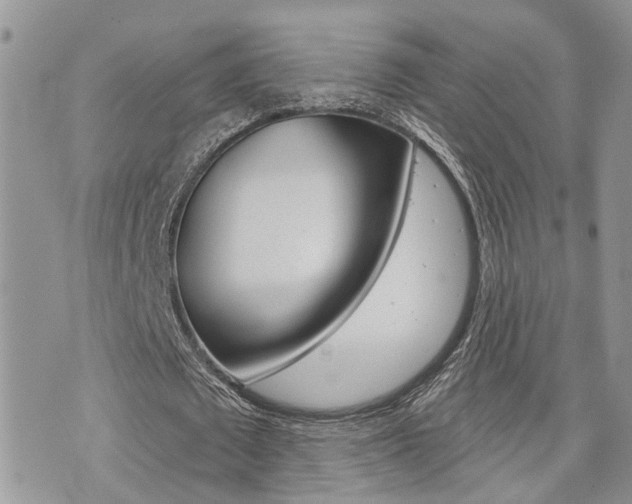 X0000073850673200608101003