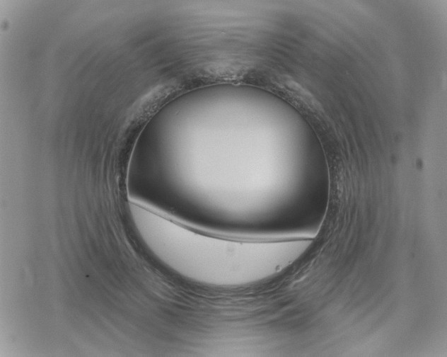 X0000073850693200608101003