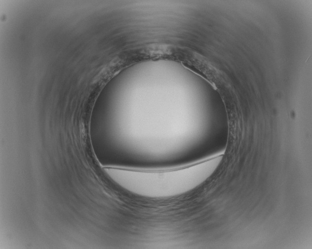 X0000073850704200608101003