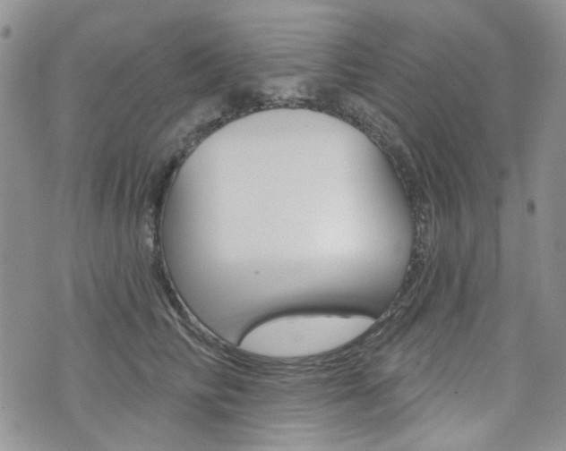X0000073850710200608101003