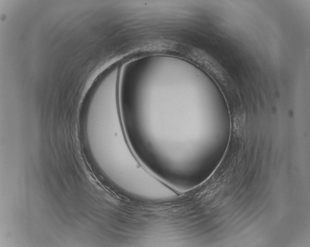 X0000073850724200608101002