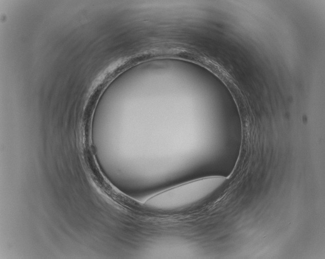 X0000073850726200608101002