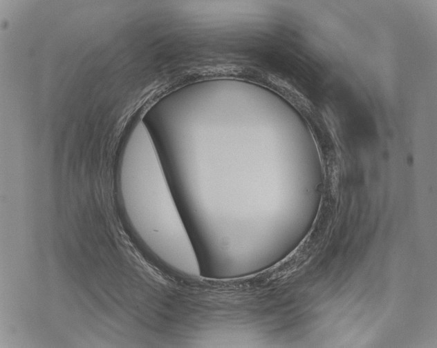 X0000073850729200608101002