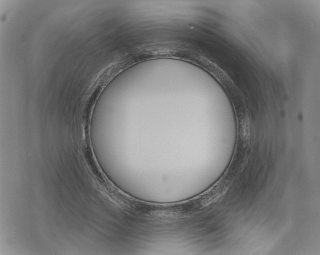 X0000073850733200608101002