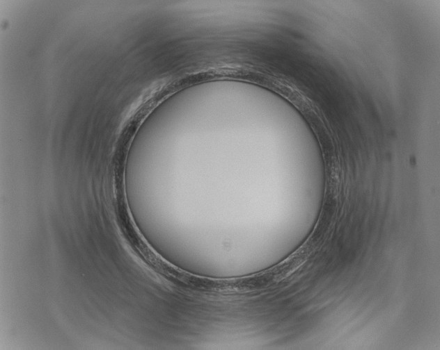 X0000073850734200608101002