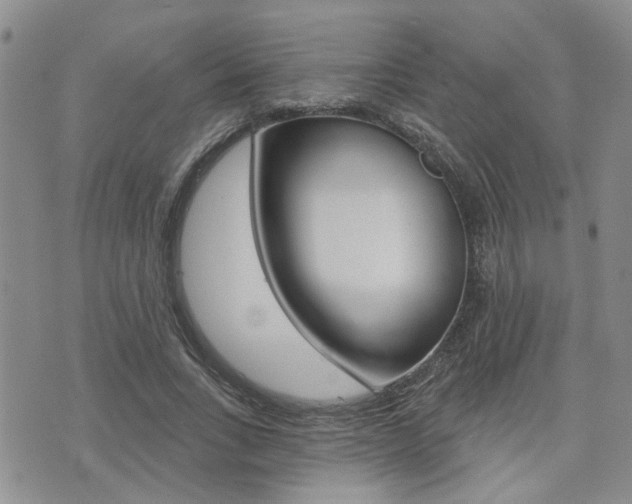X0000073850735200608101002
