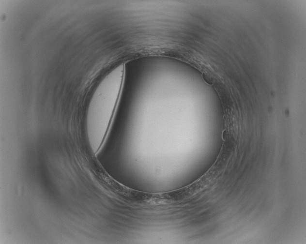 X0000073850742200608101002