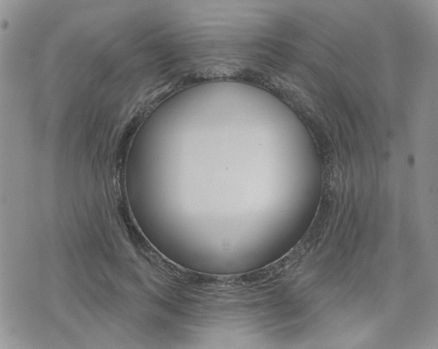 X0000073850743200608101002