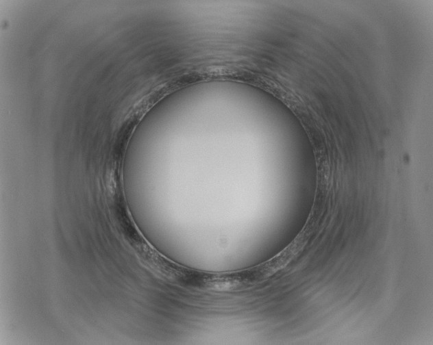 X0000073850746200608101002