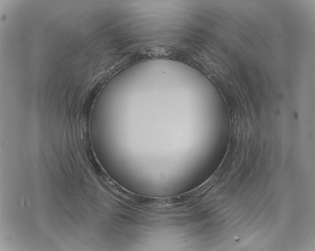 X0000073850747200608101002