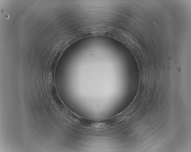 X0000073850748200608101002