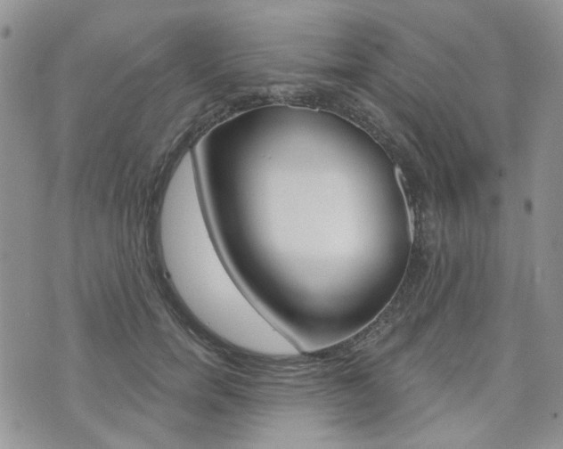 X0000073850750200608101002