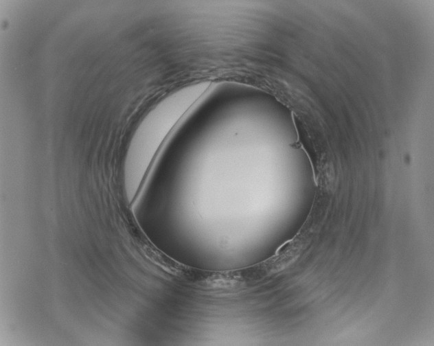 X0000073850756200608101002
