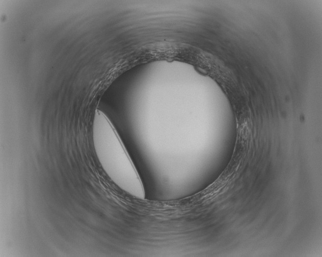 X0000073850772200608101002
