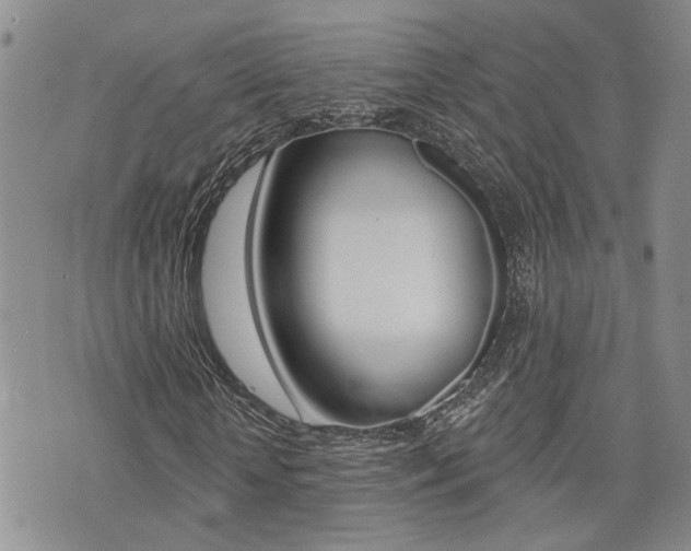 X0000073850818200608101000